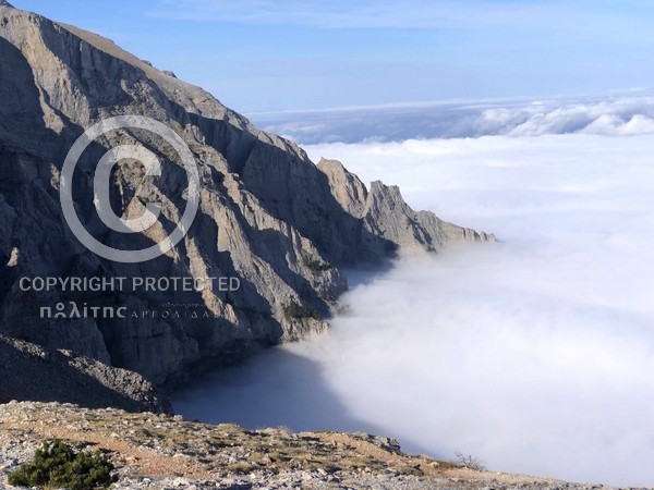 stergiou dimarakis olympos mesa18112024