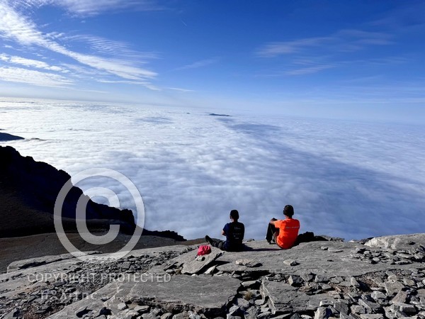 stergiou dimarakis olympos mesa18112024 2