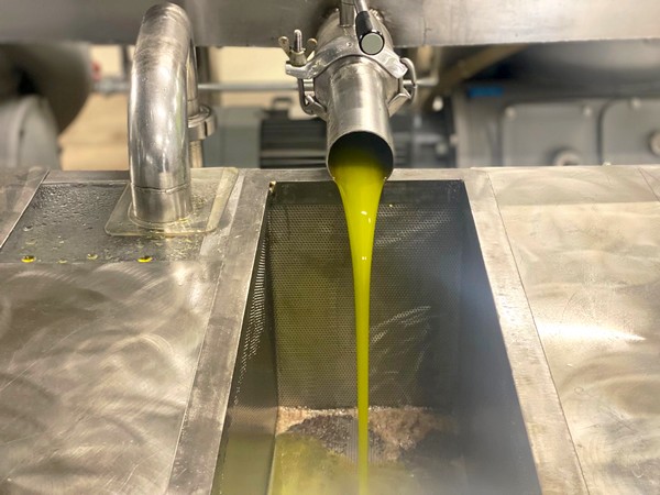 elaiotriveio ertnews mesa18112025