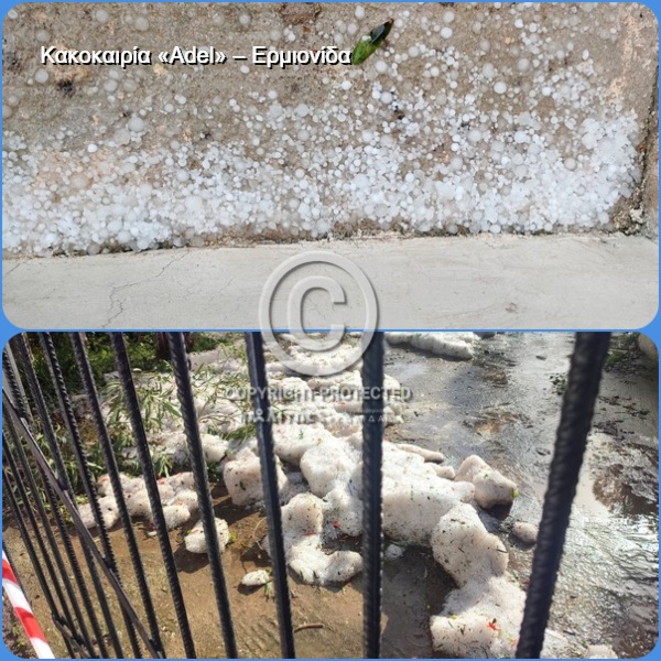 ermionida adel pa mesa28112025