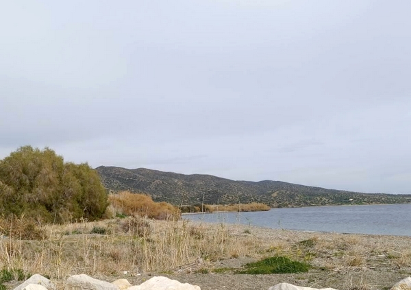 hydra rock paralia newmoney mesa12032026