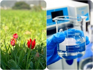 &Pi;&Alpha;&Kappa;&Omicron;&Epsilon;: &Mu;&iota;&kappa;&rho;&omicron;&beta;&iota;&alpha;&kappa;ή &epsilon;&pi;&iota;&beta;ά&rho;&upsilon;&nu;&sigma;&eta; &sigma;&tau;&omicron; &nu;&epsilon;&rho;ό &sigma;&epsilon; &Delta;ί&delta;&upsilon;&mu;&alpha; &kappa;&alpha;&iota; &Lambda;&omicron;&upsilon;&kappa;&alpha;ΐ&tau;&iota; &ndash; &Alpha;&pi;&alpha;&iota;&tau;&epsilon;ί&tau;&alpha;&iota; ά&mu;&epsilon;&sigma;&eta; &lambda;ή&psi;&eta; &mu;έ&tau;&rho;&omega;&nu; (&beta;ί&nu;&tau;&epsilon;&omicron;, &epsilon;&iota;&kappa;ό&nu;&epsilon;&sigmaf;)