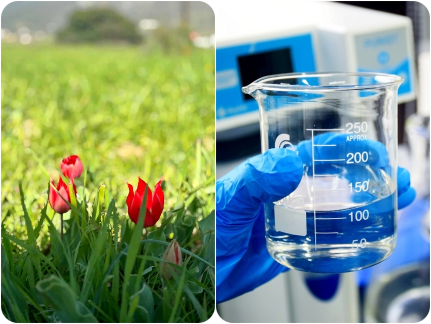 ΠΑΚΟΕ: Μικροβιακή επιβάρυνση στο νερό σε Δίδυμα και Λουκαΐτι – Απαιτείται άμεση λήψη μέτρων (βίντεο, εικόνες)