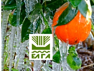 Πουλάς για επίσκεψη Λυκουρέντζου: Για επικοινωνιακούς σκοπούς η παρουσία του στην Αργολίδα (εικόνα)