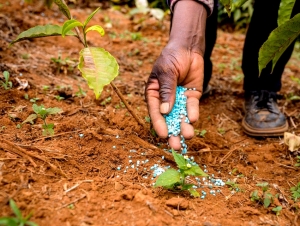 &Epsilon;&kappa;&tau;ό&sigmaf; &omicron;&iota; &epsilon;&tau;&epsilon;&rho;&omicron;-&epsilon;&pi;&alpha;&gamma;&gamma;&epsilon;&lambda;&mu;&alpha;&tau;ί&epsilon;&sigmaf; &gamma;&epsilon;&omega;&rho;&gamma;&omicron;ί &alpha;&pi;ό &tau;&eta;&nu; &epsilon;&nu;ί&sigma;&chi;&upsilon;&sigma;&eta; &gamma;&iota;&alpha; &tau;&alpha; &lambda;&iota;&pi;ά&sigma;&mu;&alpha;&tau;&alpha;