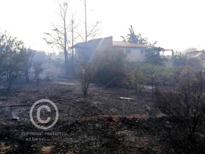 &Epsilon;&rho;&mu;&iota;&omicron;&nu;ί&delta;&alpha;: &Upsilon;&pi;ό έ&lambda;&epsilon;&gamma;&chi;&omicron; &eta; &phi;&omega;&tau;&iota;ά &sigma;&tau;&eta;&nu; &Kappa;&iota;&nu;έ&tau;&alpha; &Epsilon;&rho;&mu;&iota;ό&nu;&eta;&sigmaf;, &kappa;&iota;&nu;&delta;ύ&nu;&epsilon;&psi;&alpha;&nu; &sigma;&pi;ί&tau;&iota;&alpha; - &Omicron;&iota; &pi;&rho;ώ&tau;&epsilon;&sigmaf; &epsilon;&iota;&kappa;ό&nu;&epsilon;&sigmaf;