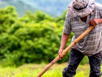 &Pi;&omicron;&upsilon;&lambda;ά&sigmaf;: &Nu;έ&omicron; &omicron;&iota;&kappa;&omicron;&nu;&omicron;&mu;&iota;&kappa;ό &pi;&lambda;ή&gamma;&mu;&alpha; &sigma;&tau;&omicron;&upsilon;&sigmaf; &alpha;&gamma;&rho;ό&tau;&epsilon;&sigmaf; &mu;&epsilon; &tau;&alpha; &pi;&omicron;&sigma;ά &tau;&eta;&sigmaf; &epsilon;&pi;&iota;&sigma;&tau;&rho;&epsilon;&pi;&tau;έ&alpha;&sigmaf; &pi;&rho;&omicron;&kappa;&alpha;&tau;&alpha;&beta;&omicron;&lambda;ή&sigmaf; &alpha;&pi;ό &tau;&eta;&nu; &Alpha;&Alpha;&Delta;&Epsilon;