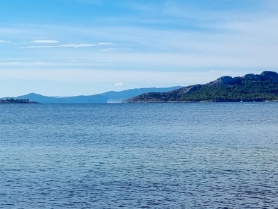 &Alpha;ί&gamma;&iota;&nu;&alpha;: &Epsilon;&nu;&tau;&omicron;&pi;ί&sigma;&tau;&eta;&kappa;&epsilon; &nu;&epsilon;&kappa;&rho;ό&sigmaf; &omicron; 54&chi;&rho;&omicron;&nu;&omicron;&sigmaf; &kappa;&omicron;&lambda;&upsilon;&mu;&beta;&eta;&tau;ή&sigmaf; &pi;&omicron;&upsilon; &alpha;&gamma;&nu;&omicron;&omicron;ύ&nu;&tau;&alpha;&nu; (&epsilon;&iota;&kappa;ό&nu;&alpha;)