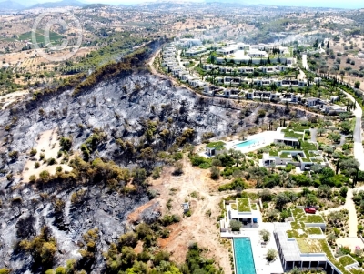 &Phi;&omega;&tau;&iota;ά &sigma;&tau;&omicron; &Kappa;&rho;&alpha;&nu;ί&delta;&iota;: &Alpha;&nu;&alpha;&beta;&omicron;&lambda;ή &sigma;&tau;&eta; &delta;ί&kappa;&eta; &tau;&omega;&nu; &sigma;&upsilon;&lambda;&lambda;&eta;&phi;&theta;έ&nu;&tau;&omega;&nu; &ndash; &Tau;&iota; &lambda;έ&nu;&epsilon; &omicron;&iota; &delta;&iota;&kappa;&eta;&gamma;ό&rho;&omicron;&iota; &upsilon;&pi;&epsilon;&rho;ά&sigma;&pi;&iota;&sigma;&eta;&sigmaf;
