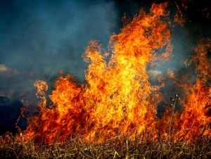 Φωτιά στα Λευκάκια Αργολίδας - Μάχη με τις φλόγες για να μην ξεφύγει (εικόνα)
