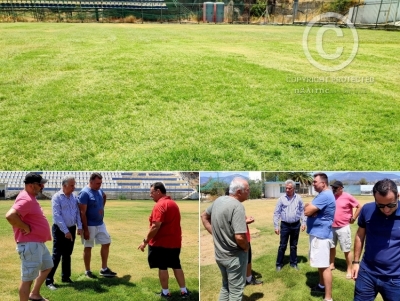 &Alpha;&upsilon;&tau;&omicron;&psi;ί&alpha; &sigma;&tau;&omicron; &gamma;ή&pi;&epsilon;&delta;&omicron; &Kappa;&rho;&alpha;&nu;&iota;&delta;ί&omicron;&upsilon; &alpha;&pi;ό &Gamma;&epsilon;&omega;&rho;&gamma;ό&pi;&omicron;&upsilon;&lambda;&omicron; &kappa;&alpha;&iota; &mu;έ&lambda;&eta; &tau;&eta;&sigmaf; &Alpha;&Epsilon; &Epsilon;&rho;&mu;&iota;&omicron;&nu;ί&delta;&alpha;&sigmaf; (&beta;ί&nu;&tau;&epsilon;&omicron;, &epsilon;&iota;&kappa;ό&nu;&epsilon;&sigmaf;)