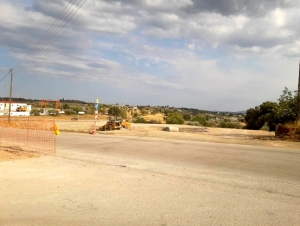 &Tau;ό&kappa;&alpha;&sigmaf;: Ά&mu;&epsilon;&sigma;&alpha; &theta;&epsilon;&tau;&iota;&kappa;ά &alpha;&pi;&omicron;&tau;&epsilon;&lambda;έ&sigma;&mu;&alpha;&tau;&alpha; &alpha;&pi;ό &tau;&omicron;&nu; &kappa;&upsilon;&kappa;&lambda;&omicron;&phi;&omicron;&rho;&iota;&alpha;&kappa;ό &kappa;ό&mu;&beta;&omicron; &Kappa;&rho;&alpha;&nu;&iota;&delta;ί&omicron;&upsilon;-&Pi;&omicron;&rho;&tau;&omicron;&chi;&epsilon;&lambda;ί&omicron;&upsilon; (&epsilon;&iota;&kappa;ό&nu;&epsilon;&sigmaf;)