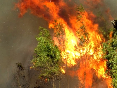 &Pi;&omicron;&upsilon;&lambda;ά&sigmaf;: &Sigma;&upsilon;&nu;&epsilon;&chi;ί&zeta;&epsilon;&tau;&alpha;&iota; &omicron; &epsilon;&mu;&pi;&alpha;&iota;&gamma;&mu;ό&sigmaf; &gamma;&iota;&alpha; &tau;&omicron;&upsilon;&sigmaf; &pi;&upsilon;&rho;ό&pi;&lambda;&eta;&kappa;&tau;&omicron;&upsilon;&sigmaf; &tau;&eta;&sigmaf; &Alpha;&rho;&gamma;&omicron;&lambda;ί&delta;&alpha;&sigmaf;