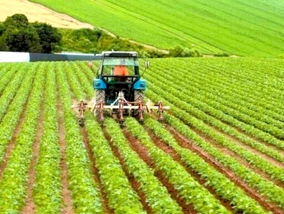 &Epsilon;&rho;ώ&tau;&eta;&sigma;&eta; &Alpha;&nu;&delta;&rho;&iota;&alpha;&nu;&omicron;ύ &sigma;&tau;&eta; &Beta;&omicron;&upsilon;&lambda;ή &gamma;&iota;&alpha; &tau;&omicron;&upsilon;&sigmaf; &nu;έ&omicron;&upsilon;&sigmaf; &alpha;&gamma;&rho;ό&tau;&epsilon;&sigmaf; &ndash; Έ&mu;&epsilon;&iota;&nu;&alpha;&nu; 444 &epsilon;&kappa;&tau;ό&sigmaf; &pi;&rho;&omicron;&gamma;&rho;ά&mu;&mu;&alpha;&tau;&omicron;&sigmaf;