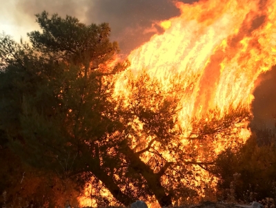 &Sigma;&tau;&omicron; &laquo;&pi;&omicron;&rho;&tau;&omicron;&kappa;&alpha;&lambda;ί&raquo; &eta; &Alpha;&rho;&gamma;&omicron;&lambda;ί&delta;&alpha;, &sigma;&epsilon; &epsilon;&tau;&omicron;&iota;&mu;ό&tau;&eta;&tau;&alpha; &Pi;&upsilon;&rho;&omicron;&sigma;&beta;&epsilon;&sigma;&tau;&iota;&kappa;ή &kappa;&alpha;&iota; &Pi;&omicron;&lambda;&iota;&tau;&iota;&kappa;ή &Pi;&rho;&omicron;&sigma;&tau;&alpha;&sigma;ί&alpha; &ndash; &Sigma;&upsilon;&nu;&alpha;&gamma;&epsilon;&rho;&mu;ό&sigmaf; &gamma;&iota;&alpha; &tau;&omicron;&nu; &kappa;&alpha;&iota;&rho;ό &tau;ύ&pi;&omicron;&upsilon; Hot-Dry-Windy (&epsilon;&iota;&kappa;ό&nu;&epsilon;&sigmaf;)