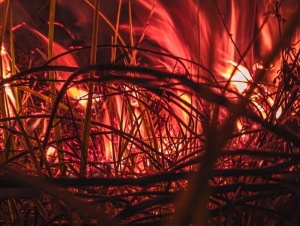 Ναύπλιο: Φωτιά το βράδυ στη Νέα Τίρυνθα – Άμεση κινητοποίηση της Πυροσβεστικής