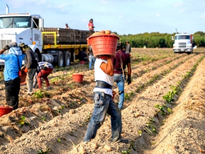 &Alpha;&rho;&gamma;&omicron;&lambda;ί&delta;&alpha;: &Tau;&omicron; &Kappa;&Kappa;&Epsilon; &gamma;&iota;&alpha; &tau;&omicron; &zeta;ή&tau;&eta;&mu;&alpha; &tau;&omega;&nu; &epsilon;&rho;&gamma;&alpha;&tau;ώ&nu; &gamma;&eta;&sigmaf; - &Alpha;&iota;&chi;&mu;έ&sigmaf; &kappa;&alpha;&iota; &gamma;&iota;&alpha; &tau;&omicron;&nu; &Epsilon;&Phi;&Kappa;&Alpha; &Nu;&alpha;&upsilon;&pi;&lambda;ί&omicron;&upsilon;