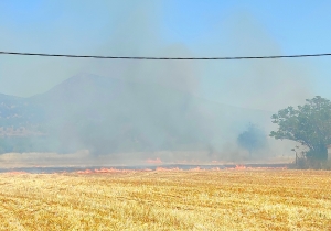 Αργολίδα: Ξέσπασε πυρκαγιά σε αγροτική έκταση
