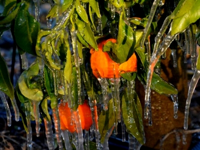 &laquo;&Beta;&omicron;&lambda;έ&sigmaf;&raquo; &Psi;&upsilon;&chi;&omicron;&gamma;&upsilon;&iota;&omicron;ύ &sigma;&epsilon; &kappa;&upsilon;&beta;έ&rho;&nu;&eta;&sigma;&eta;: &Sigma;&tau;&alpha;&mu;&alpha;&tau;ή&sigma;&tau;&epsilon; &tau;&alpha; &pi;&rho;&omicron;&epsilon;&kappa;&lambda;&omicron;&gamma;&iota;&kappa;ά &pi;&alpha;&iota;&chi;&nu;ί&delta;&iota;&alpha; &mu;&epsilon; &tau;&omicron;&upsilon;&sigmaf; &alpha;&gamma;&rho;ό&tau;&epsilon;&sigmaf; (&epsilon;&iota;&kappa;ό&nu;&alpha;)