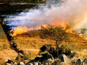Σε υψηλό κίνδυνο πυρκαγιάς η Αργολίδα την Τρίτη (28/06)