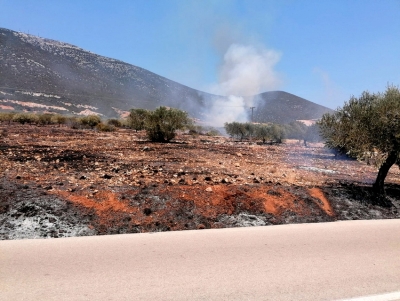 &Epsilon;&rho;&mu;&iota;&omicron;&nu;ί&delta;&alpha;: &Phi;&omega;&tau;&iota;ά &sigma;&tau;&omicron; &Pi;&lambda;ά&tau;&omega;&mu;&alpha; &Delta;&iota;&delta;ύ&mu;&omega;&nu;-&Lambda;&omicron;&upsilon;&kappa;&alpha;ϊ&tau;ί&omicron;&upsilon;: Ά&mu;&epsilon;&sigma;&eta; &epsilon;&pi;έ&mu;&beta;&alpha;&sigma;&eta; &alpha;&pi;ό &tau;&eta;&nu; &Pi;&upsilon;&rho;&omicron;&sigma;&beta;&epsilon;&sigma;&tau;&iota;&kappa;ή (&epsilon;&iota;&kappa;ό&nu;&epsilon;&sigmaf;)