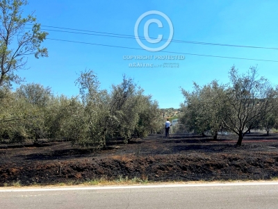 &Sigma;&epsilon; &laquo;&kappa;ό&kappa;&kappa;&iota;&nu;&omicron;&raquo; &sigma;&upsilon;&nu;&alpha;&gamma;&epsilon;&rho;&mu;ό &eta; &Pi;&upsilon;&rho;&omicron;&sigma;&beta;&epsilon;&sigma;&tau;&iota;&kappa;ή - &Sigma;&epsilon; &kappa;&lambda;&omicron;&iota;ό &pi;&upsilon;&rho;&kappa;&alpha;&gamma;&iota;ώ&nu; &eta; &Alpha;&rho;&gamma;&omicron;&lambda;ί&delta;&alpha;, &tau;&epsilon;&lambda;&epsilon;&upsilon;&tau;&alpha;ί&omicron; &mu;έ&tau;&omega;&pi;&omicron; &sigma;&tau;&alpha; &Pi;&upsilon;&rho;&gamma;&iota;ώ&tau;&iota;&kappa;&alpha; (&epsilon;&iota;&kappa;ό&nu;&epsilon;&sigmaf;)