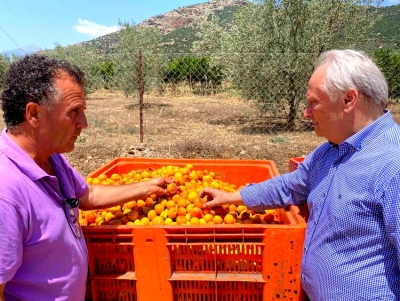 &Upsilon;&pi;&omicron;&sigma;&chi;έ&theta;&eta;&kappa;&epsilon; &sigma;&tau;ή&rho;&iota;&xi;&eta; &sigma;&tau;&omicron;&upsilon;&sigmaf; &pi;&alpha;&rho;&alpha;&gamma;&omega;&gamma;&omicron;ύ&sigmaf; &omicron; &Alpha;&nu;&delta;&rho;&iota;&alpha;&nu;ό&sigmaf; (&epsilon;&iota;&kappa;ό&nu;&epsilon;&sigmaf;)