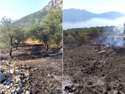 &Phi;&omega;&tau;&iota;ά &sigma;&tau;&eta;&nu; &Kappa;&alpha;&lambda;&lambda;&omicron;&nu;ή &Tau;&rho;&omicron;&iota;&zeta;&eta;&nu;ί&alpha;&sigmaf; &ndash; Ά&mu;&epsilon;&sigma;&eta; &epsilon;&pi;έ&mu;&beta;&alpha;&sigma;&eta; &alpha;&pi;ό &tau;&eta;&nu; &Pi;&upsilon;&rho;&omicron;&sigma;&beta;&epsilon;&sigma;&tau;&iota;&kappa;ή &kappa;&alpha;&iota; &alpha;&pi;ό &alpha;έ&rho;&omicron;&sigmaf; (&epsilon;&iota;&kappa;ό&nu;&epsilon;&sigmaf;)