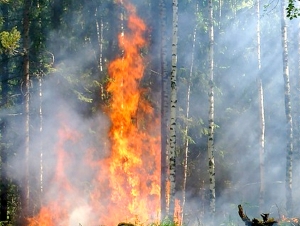 &Phi;&omega;&tau;&iota;ά &sigma;&tau;&eta; &Beta;&alpha;&sigma;&iota;&lambda;&iota;&kappa;ή &Lambda;&alpha;&kappa;&omega;&nu;ί&alpha;&sigmaf; &ndash; &Sigma;&upsilon;&nu;&alpha;&gamma;&epsilon;&rho;&mu;ό&sigmaf; &sigma;&tau;&eta;&nu; &Pi;&upsilon;&rho;&omicron;&sigma;&beta;&epsilon;&sigma;&tau;&iota;&kappa;ή &kappa;&alpha;&iota; ά&lambda;&lambda;&alpha; &mu;έ&tau;&omega;&pi;&alpha; &sigma;&tau;&eta; &chi;ώ&rho;&alpha; (&beta;ί&nu;&tau;&epsilon;&omicron;)