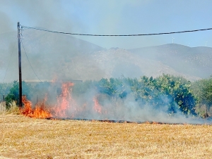 Νέα πυρκαγιά στον κάμπο Κρανιδίου (εικόνες)