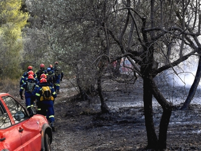 &Phi;&omega;&tau;&iota;έ&sigmaf;: &Omicron;&rho;&iota;&omicron;&theta;&epsilon;&tau;ή&theta;&eta;&kappa;&epsilon; &sigma;&tau;&eta;&nu; &Alpha;&chi;&alpha;ΐ&alpha;, &upsilon;&pi;ό &mu;&epsilon;&rho;&iota;&kappa;ό έ&lambda;&epsilon;&gamma;&chi;&omicron; &sigma;&tau;&eta;&nu; &Kappa;&alpha;&lambda;&alpha;&mu;ά&tau;&alpha; (&epsilon;&iota;&kappa;ό&nu;&alpha;)