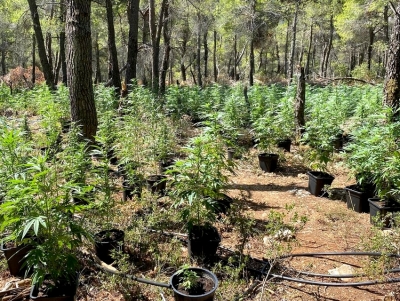 Έ&tau;&sigma;&iota; &epsilon;&xi;&alpha;&rho;&theta;&rho;ώ&theta;&eta;&kappa;&epsilon; &epsilon;&lambda;&lambda;&eta;&nu;&iota;&kappa;ό&hellip; Narcos &sigma;&tau;&alpha; &Beta;ί&lambda;&iota;&alpha; (&beta;ί&nu;&tau;&epsilon;&omicron;, &epsilon;&iota;&kappa;ό&nu;&epsilon;&sigmaf;)
