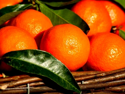 &Pi;&omicron;&upsilon;&lambda;ά&sigmaf;: &Kappa;&alpha;&mu;ί&alpha; &alpha;&pi;ά&nu;&tau;&eta;&sigma;&eta; &gamma;&iota;&alpha; &tau;&eta;&nu; &pi;&alpha;&rho;&alpha;&kappa;&rho;ά&tau;&eta;&sigma;&eta; &chi;&rho;&eta;&mu;ά&tau;&omega;&nu; &tau;&eta;&sigmaf; &kappa;&rho;&alpha;&tau;&iota;&kappa;ή&sigmaf; &epsilon;&nu;ί&sigma;&chi;&upsilon;&sigma;&eta;&sigmaf; &tau;&omega;&nu; &pi;&alpha;&rho;&alpha;&gamma;&omega;&gamma;ώ&nu; &kappa;&lambda;&eta;&mu;&epsilon;&nu;&tau;ί&nu;&eta;&sigmaf; (&epsilon;&iota;&kappa;ό&nu;&epsilon;&sigmaf;)