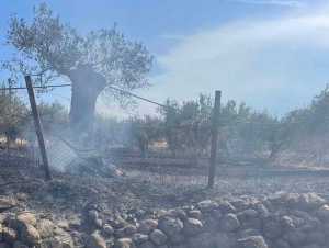 Έκτακτη ανακοίνωση της Πολιτικής Προστασίας για τον κίνδυνο πυρκαγιών