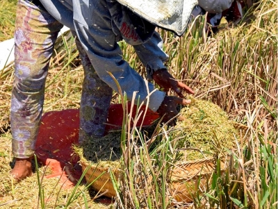 &Mu;ή&nu;&upsilon;&mu;&alpha; &Pi;&omicron;&upsilon;&lambda;ά &gamma;&iota;&alpha; &tau;&eta; &gamma;&upsilon;&nu;&alpha;ί&kappa;&alpha; &tau;&eta;&sigmaf; &upsilon;&pi;&alpha;ί&theta;&rho;&omicron;&upsilon;, &tau;&alpha; &tau;&rho;ό&phi;&iota;&mu;&alpha; &kappa;&alpha;&iota; &tau;&eta;&nu; &epsilon;&xi;ά&lambda;&epsilon;&iota;&psi;&eta; &tau;&eta;&sigmaf; &phi;&tau;ώ&chi;&epsilon;&iota;&alpha;&sigmaf; (&epsilon;&iota;&kappa;ό&nu;&alpha;)
