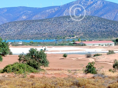 &laquo;Kilada Hills&raquo;: &laquo;&Pi;&rho;ά&sigma;&iota;&nu;&omicron;&raquo; &phi;&omega;&sigmaf; &gamma;&iota;&alpha; &tau;&eta;&nu; &epsilon;&pi;&iota;&chi;&omicron;&rho;ή&gamma;&eta;&sigma;&eta; &delta;&eta;&mu;&iota;&omicron;&upsilon;&rho;&gamma;ί&alpha;&sigmaf; &gamma;&eta;&pi;έ&delta;&omicron;&upsilon; &gamma;&kappa;&omicron;&lambda;&phi; &ndash; Έ&rho;&gamma;&omicron; &pi;&omicron;&upsilon; &theta;έ&lambda;&omicron;&upsilon;&nu;&hellip; &pi;&omicron;&lambda;&lambda;&omicron;ί &nu;&alpha; &omicron;&lambda;&omicron;&kappa;&lambda;&eta;&rho;&omega;&theta;&epsilon;ί