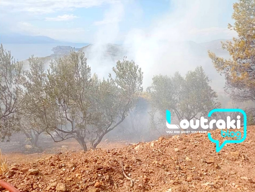 Κορινθία: Φωτιά στην Περαχώρα - Τέθηκε άμεσα υπό έλεγχο (βίντεο, εικόνα)