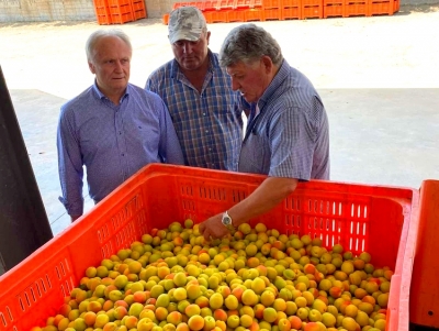 &Alpha;&nu;&delta;&rho;&iota;&alpha;&nu;ό&sigmaf; &sigma;&epsilon; &Gamma;&epsilon;&omega;&rho;&gamma;&alpha;&nu;&tau;ά: &Mu;&epsilon; &pi;&omicron;&iota;&omicron;&upsilon;&sigmaf; &tau;&rho;ό&pi;&omicron;&upsilon;&sigmaf; &theta;&alpha; &sigma;&tau;&eta;&rho;ί&xi;&epsilon;&tau;&epsilon; &tau;&omicron;&upsilon;&sigmaf; &pi;&alpha;&rho;&alpha;&gamma;&omega;&gamma;&omicron;ύ&sigmaf; &sigma;&tau;&eta;&nu; &Alpha;&rho;&gamma;&omicron;&lambda;ί&delta;&alpha;