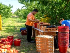 &Sigma;&tau;&omicron;&hellip; &mu;&epsilon;&nu;&omicron;ύ &sigma;&alpha;&sigmaf; &eta; &sigma;&upsilon;&mu;&phi;&omega;&nu;ί&alpha; &Epsilon;&Epsilon;-&laquo;Mercosur&raquo; - &Eta; &pi;&alpha;&rho;&omicron;&upsilon;&sigma;ί&alpha;&sigma;ή &tau;&eta;&sigmaf; &alpha;&pi;&rsquo; ό&lambda;&epsilon;&sigmaf; &tau;&iota;&sigmaf; &pi;&lambda;&epsilon;&upsilon;&rho;έ&sigmaf; (&beta;ί&nu;&tau;&epsilon;&omicron;, &epsilon;&iota;&kappa;ό&nu;&epsilon;&sigmaf;)