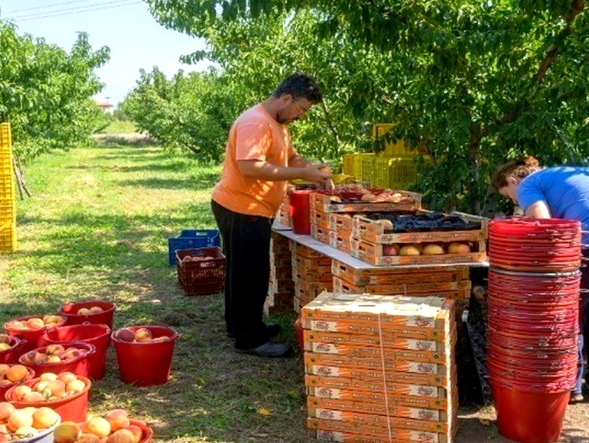 Στο… μενού σας η συμφωνία ΕΕ-«Mercosur» - Η παρουσίασή της απ’ όλες τις πλευρές (βίντεο, εικόνες)