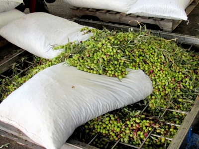 &Alpha;&nu;&alpha;&phi;&omicron;&rho;ά &Gamma;&kappa;&iota;ό&lambda;&alpha;: &Mu;ό&nu;&omicron; &mu;&epsilon; &epsilon;&pi;&iota;&delta;ό&tau;&eta;&sigma;&eta; &eta;&lambda;&epsilon;&kappa;&tau;&rho;&iota;&kappa;ή&sigmaf; &epsilon;&nu;&epsilon;&rho;&gamma;&epsilon;ί&alpha;&sigmaf; &theta;&alpha; &delta;&omicron;&upsilon;&lambda;έ&psi;&omicron;&upsilon;&nu; &phi;έ&tau;&omicron;&sigmaf; &tau;&alpha; &epsilon;&lambda;&alpha;&iota;&omicron;&upsilon;&rho;&gamma;&epsilon;ί&alpha;