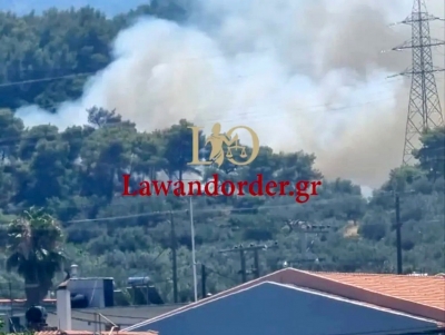 &Pi;ά&tau;&rho;&alpha;: &Mu;&iota;&alpha; &alpha;&nu;ά&sigma;&alpha; &alpha;&pi;ό &sigma;&pi;ί&tau;&iota;&alpha; &eta; &phi;&omega;&tau;&iota;ά &sigma;&tau;&eta;&nu; &Kappa;&alpha;&lambda;&lambda;&iota;&theta;έ&alpha; &ndash; Ό&lambda;&alpha; &tau;&alpha; &pi;ύ&rho;&iota;&nu;&alpha; &mu;έ&tau;&omega;&pi;&alpha; &sigma;&tau;&eta; &chi;ώ&rho;&alpha; (&beta;ί&nu;&tau;&epsilon;&omicron;, &epsilon;&iota;&kappa;ό&nu;&epsilon;&sigmaf;)
