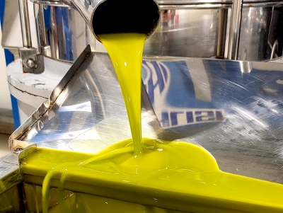 &Pi;&omicron;&upsilon;&lambda;ά&sigmaf;: &Nu;&alpha; &sigma;&tau;&eta;&rho;&iota;&chi;&theta;&omicron;ύ&nu; &tau;&alpha; &epsilon;&lambda;&alpha;&iota;&omicron;&tau;&rho;&iota;&beta;&epsilon;ί&alpha; &alpha;&pi;έ&nu;&alpha;&nu;&tau;&iota; &sigma;&tau;&eta;&nu; &epsilon;&kappa;&tau;ί&nu;&alpha;&xi;&eta; &tau;&omicron;&upsilon; &epsilon;&nu;&epsilon;&rho;&gamma;&epsilon;&iota;&alpha;&kappa;&omicron;ύ &kappa;ό&sigma;&tau;&omicron;&upsilon;&sigmaf;