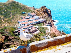 &Eta; &phi;ύ&sigma;&eta; &delta;&epsilon;&nu; &pi;&rho;ό&kappa;&epsilon;&iota;&tau;&alpha;&iota; &nu;&alpha; &sigma;&upsilon;&nu;&theta;&eta;&kappa;&omicron;&lambda;&omicron;&gamma;ή&sigma;&epsilon;&iota; &sigma;&tau;&omicron;&nu; &pi;ό&lambda;&epsilon;&mu;&omicron; &pi;&omicron;&upsilon; &tau;&eta;&sigmaf; έ&chi;&omicron;&upsilon;&mu;&epsilon; &kappa;&eta;&rho;ύ&xi;&epsilon;&iota; (&epsilon;&iota;&kappa;ό&nu;&alpha;)