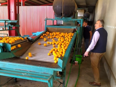 &Pi;&omicron;&upsilon;&lambda;ά&sigmaf; &alpha;&pi;ό &sigma;&upsilon;&sigma;&kappa;&epsilon;&upsilon;&alpha;&sigma;&tau;ή&rho;&iota;&omicron; &epsilon;&sigma;&pi;&epsilon;&rho;&iota;&delta;&omicron;&epsilon;&iota;&delta;ώ&nu;: &Sigma;&tau;ή&rho;&iota;&xi;&eta; &kappa;&alpha;&iota; &pi;&rho;&omicron;&sigma;&tau;&alpha;&sigma;ί&alpha; &tau;&eta;&sigmaf; &alpha;&gamma;&rho;&omicron;&tau;&iota;&kappa;ή&sigmaf; &pi;&alpha;&rho;&alpha;&gamma;&omega;&gamma;ή&sigmaf; (&epsilon;&iota;&kappa;ό&nu;&epsilon;&sigmaf;)