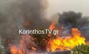 Φωτιά στο Λουτράκι - Επιχειρούν και εναέρια μεσα