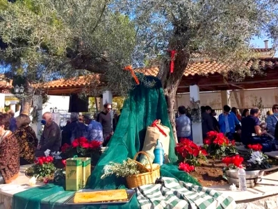 Ερμιονίδα: Στο φουλ οι ετοιμασίες για τη «10η γιορτή ελιάς και ελαιόλαδου» στο Κρανίδι (εικόνα)