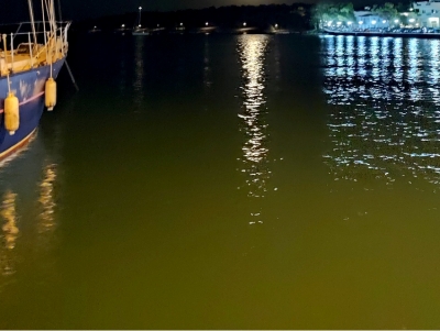 &Epsilon;&rho;&mu;&iota;ό&nu;&eta;: &Delta;&iota;ά&sigma;&omega;&sigma;&eta; &kappa;&alpha;&iota; &tau;&rho;&alpha;&upsilon;&mu;&alpha;&tau;&iota;&sigma;&mu;ό&sigmaf; ά&nu;&delta;&rho;&alpha; &sigma;&tau;&omicron; &lambda;&iota;&mu;ά&nu;&iota; &ndash; &Mu;&epsilon;&tau;&alpha;&phi;έ&rho;&theta;&eta;&kappa;&epsilon; &sigma;&tau;&omicron; &nu;&omicron;&sigma;&omicron;&kappa;&omicron;&mu;&epsilon;ί&omicron;