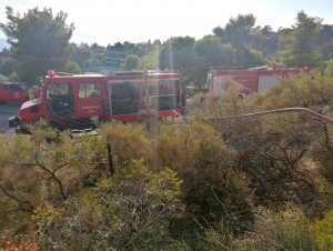Ερμιονίδα: Φωτιά στη Χηνίτσα, αποσόβησε τα χειρότερα η Πυροσβεστική (εικόνες)