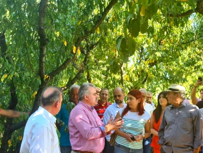 &Sigma;&tau;&eta;&nu; &Eta;&mu;&alpha;&theta;ί&alpha; &omicron; &Pi;&omicron;&upsilon;&lambda;ά&sigmaf;: &Epsilon;&pi;&alpha;&phi;έ&sigmaf; &mu;&epsilon; &alpha;&gamma;&rho;ό&tau;&epsilon;&sigmaf; &kappa;&alpha;&iota; &pi;&rho;&omicron;&tau;ά&sigma;&epsilon;&iota;&sigmaf; &gamma;&iota;&alpha; &tau;&alpha; &pi;&rho;&omicron;&beta;&lambda;ή&mu;&alpha;&tau;ά &tau;&omicron;&upsilon;&sigmaf; (&epsilon;&iota;&kappa;ό&nu;&epsilon;&sigmaf;)